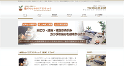 Desktop Screenshot of fujisawakita.com